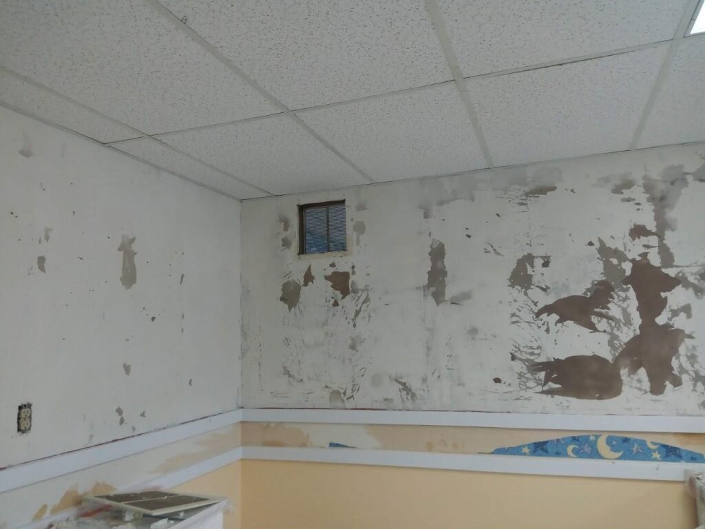 A basement wall with peeling paint and a small window near the ceiling.